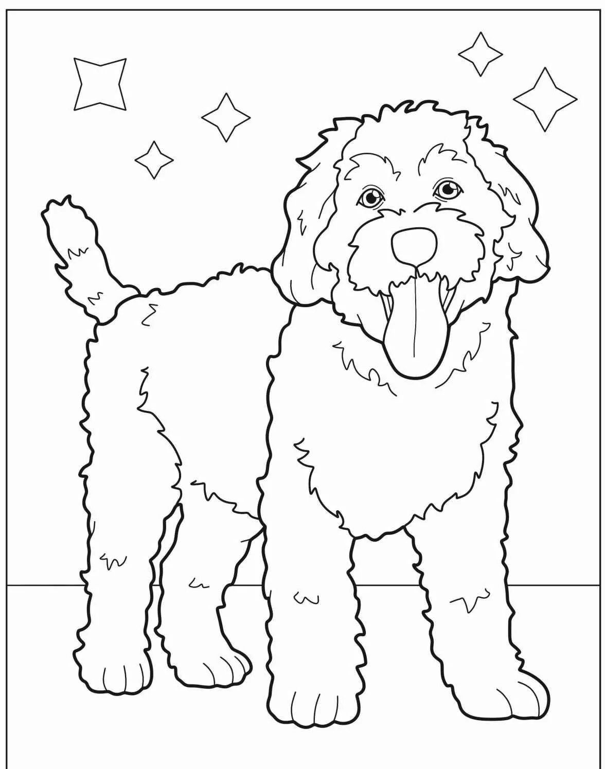 Desenho de cachorro peludo com língua de fora e estrelas ao fundo para colorir