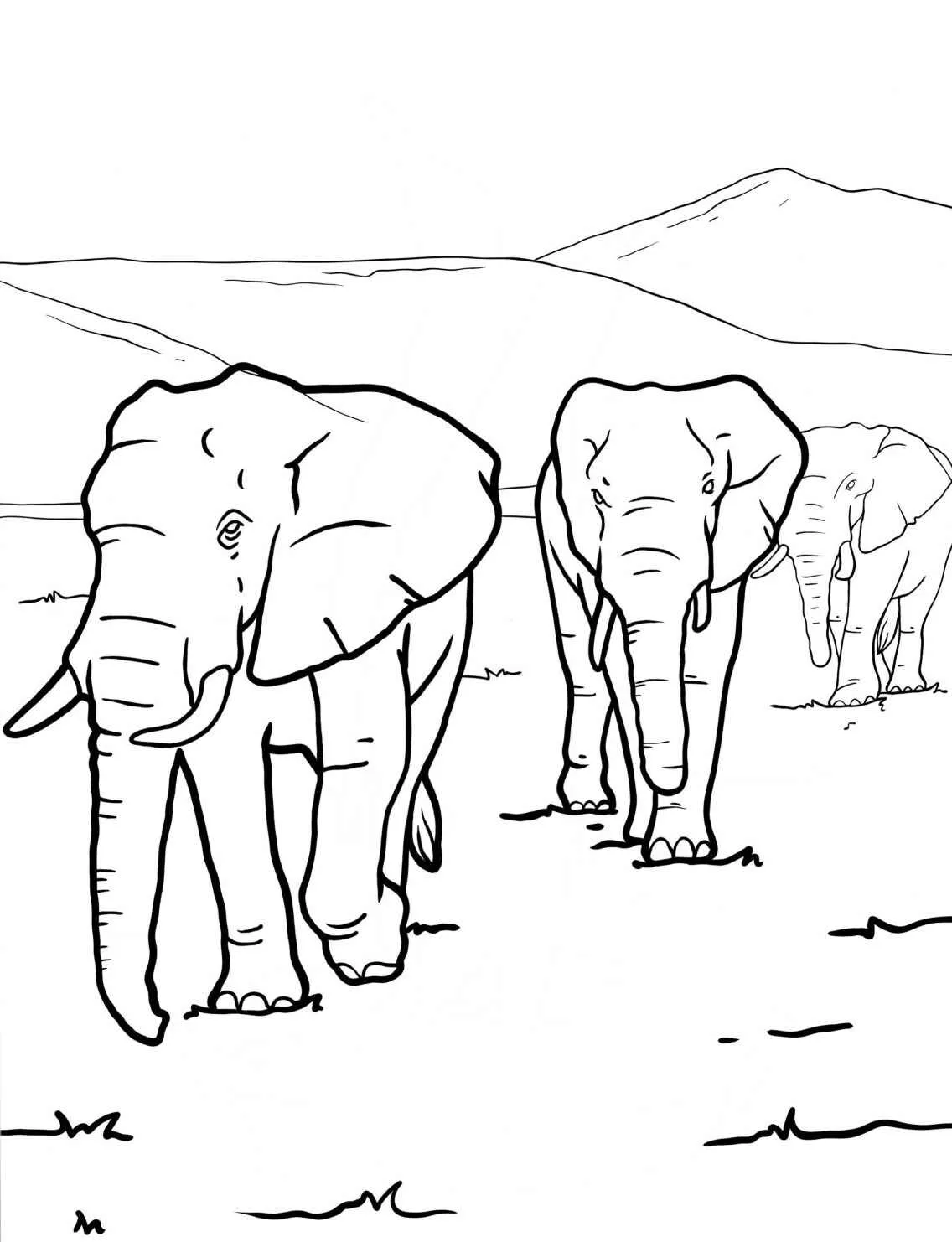 Desenho de elefantes caminhando na savana, ideal para colorir.