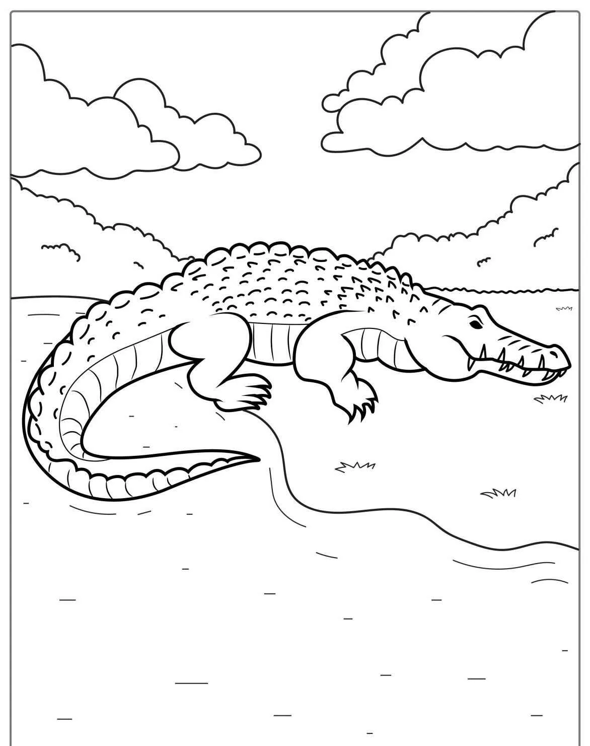 Desenho de um jacaré em terra firme, pronto para ser colorido
