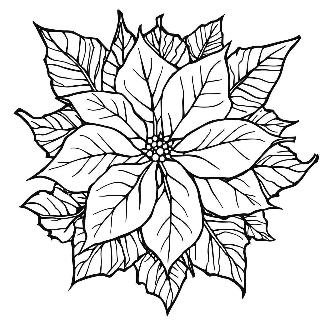Desenho de uma flor de poinsettia com folhas para colorir